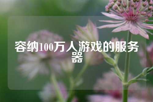 容纳100万人游戏的服务器