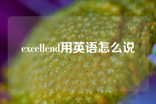 excellend用英语怎么说