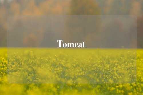 Tomcat