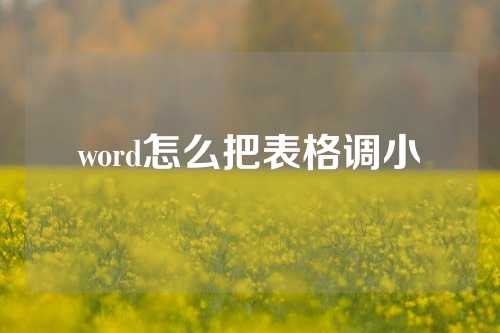 word怎么把表格调小