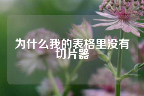 为什么我的表格里没有切片器