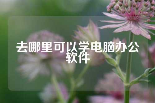 去哪里可以学电脑办公软件