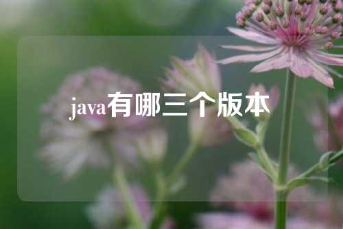 java有哪三个版本