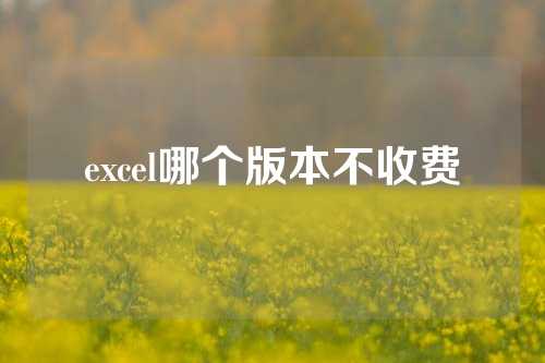 excel哪个版本不收费