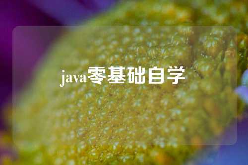 java零基础自学