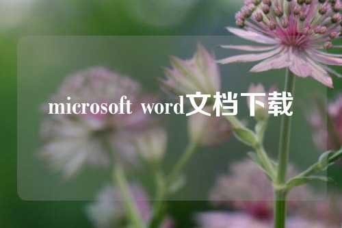 microsoft word文档下载