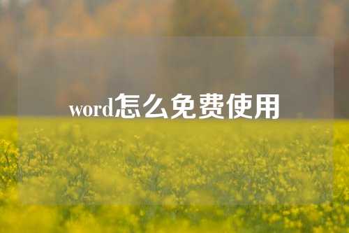 word怎么免费使用