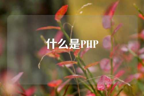 什么是PHP