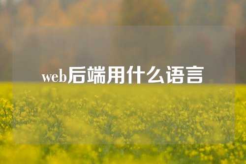 web后端用什么语言