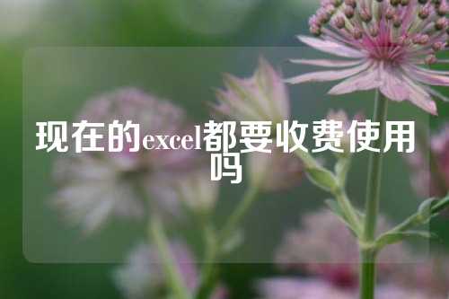 现在的excel都要收费使用吗