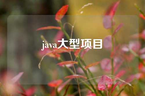 java大型项目