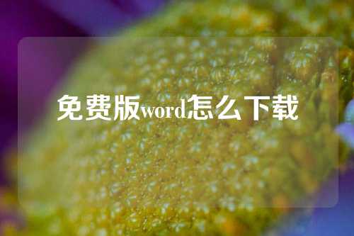 免费版word怎么下载