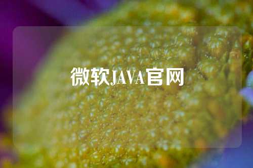 微软JAVA官网