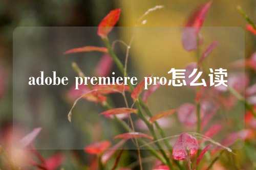 adobe premiere pro怎么读