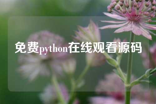 免费python在线观看源码