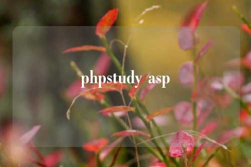 phpstudy asp