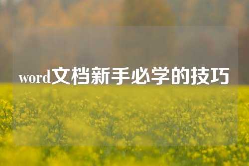 word文档新手必学的技巧