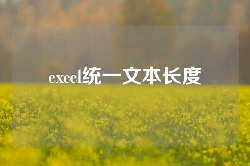 excel统一文本长度