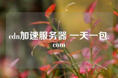 cdn加速服务器 一天一包.com