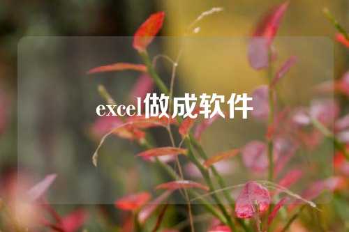 excel做成软件