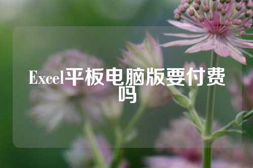 Excel平板电脑版要付费吗