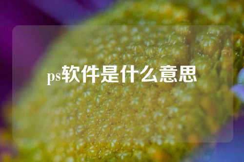 ps软件是什么意思