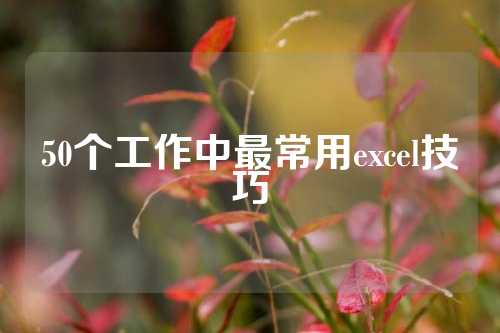 50个工作中最常用excel技巧