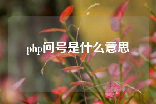 php问号是什么意思