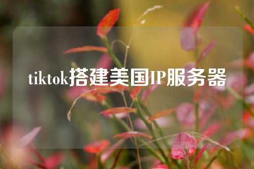 tiktok搭建美国IP服务器