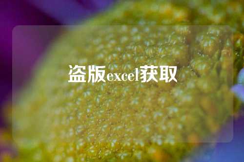 盗版excel获取