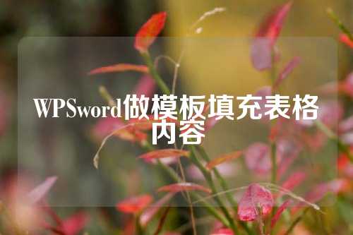 WPSword做模板填充表格内容