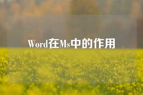 Word在Ms中的作用