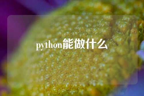 python能做什么