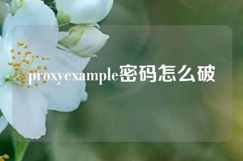 proxyexample密码怎么破