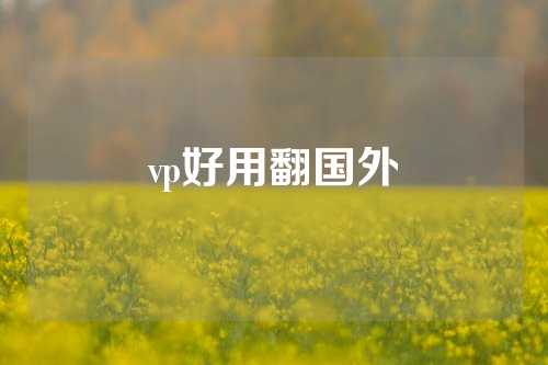 vp好用翻国外