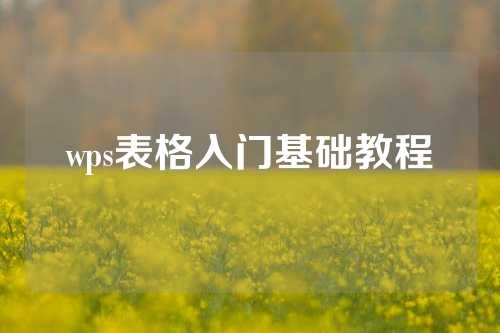 wps表格入门基础教程