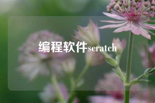 编程软件scratch