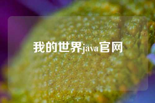 我的世界java官网