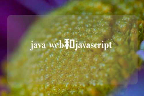 java web和javascript