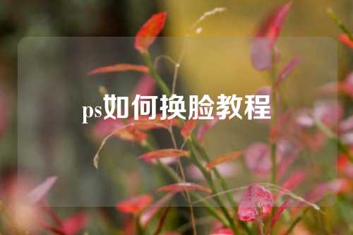 ps如何换脸教程