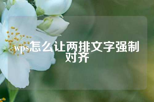 wps怎么让两排文字强制对齐