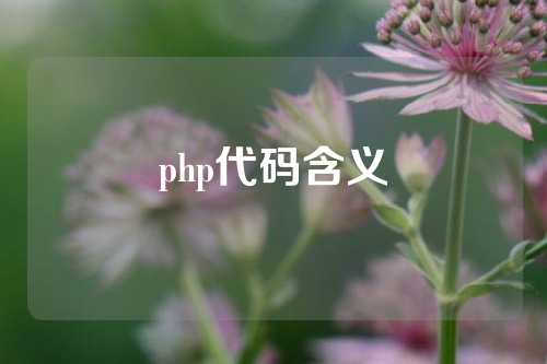 php代码含义