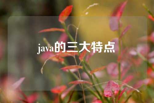 java的三大特点