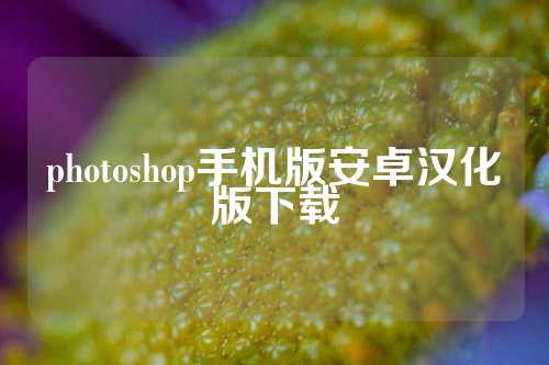 photoshop手机版安卓汉化版下载