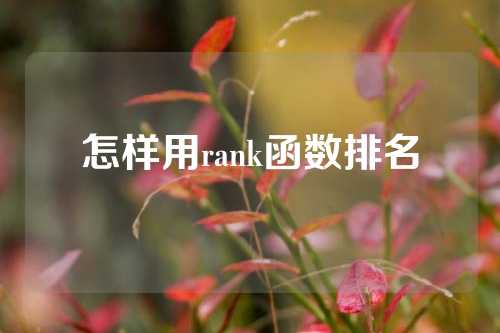 怎样用rank函数排名