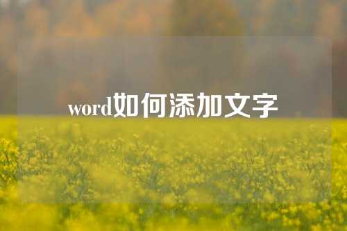 word如何添加文字