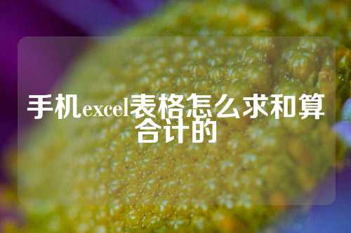 手机excel表格怎么求和算合计的