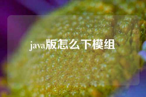 java版怎么下模组