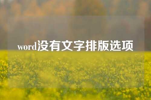 word没有文字排版选项