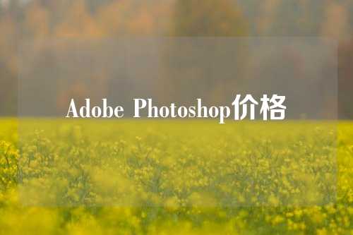 Adobe Photoshop价格